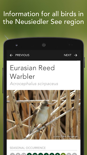 Bird-List Neusiedler See