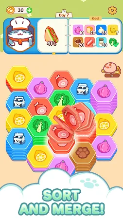 Game screenshot Hexa Food Sort - Sorting Games mod apk