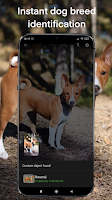 screenshot of Dog breeds - Smart Identifier