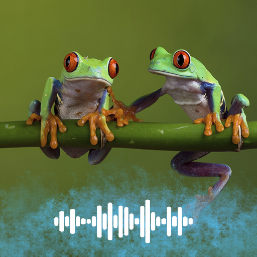 Frog sounds Ringtones