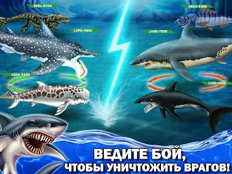 Game screenshot Shark World hack