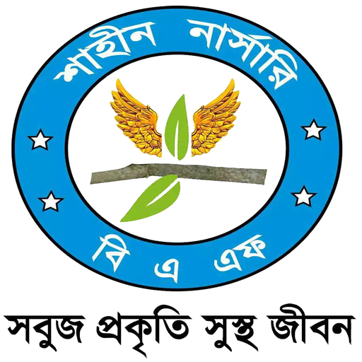 BAF Shaheen Nursery logo