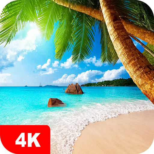 Summer Wallpapers 4K logo
