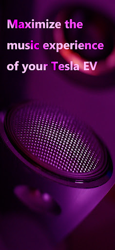 Tesla Lossless Music Player Screen 2