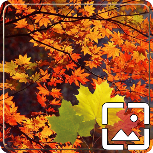 Autumn Wallpapers Hd logo