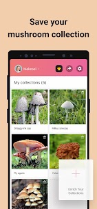 Picture Mushroom – Mushroom ID Modded Apk 5