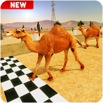 Cover Image of Télécharger Crazy Camel Racing Fever 3D: Desert Race Simulator 1.5 APK