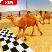 Crazy Camel Racing Fever 3D: Desert Race Simulator  Icon