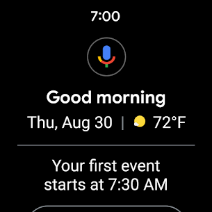Wear OS by Google Smartwatch 10