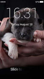 Puppy Lock Screen & Wallpaper