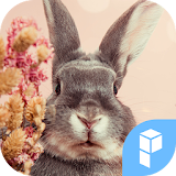 Rabbit with Flowers theme icon