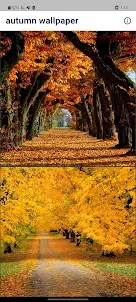 papel de parede de outono
