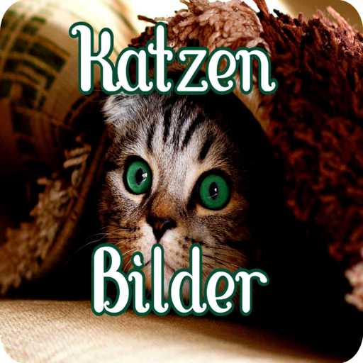 Katzen Bilder logo