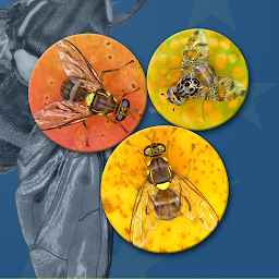 Imagen de ícono de Key important fruit flies EU