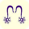 MEDIKQUIZ -ENAM RESIDENCIA MIR