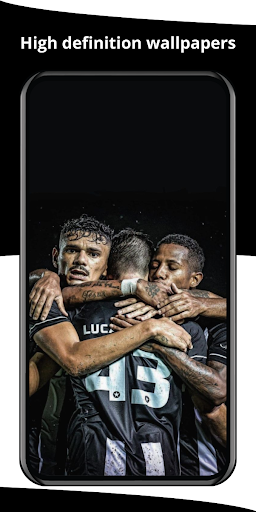 Botafogo Wallpaper 2024 Screen 3