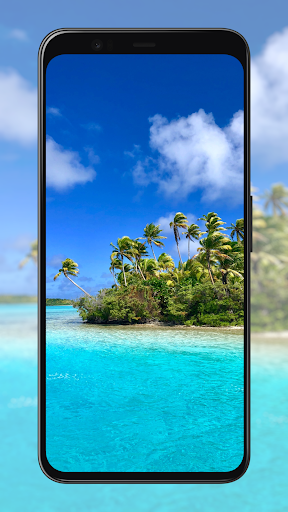 Palm Tree Wallpapers Screen 3