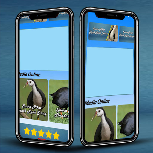 Android application Suara Pikat Ruak Ruak Betina screenshort