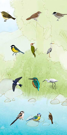 Android application Birdify screenshort