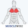 MuscleWiki Fitness icon