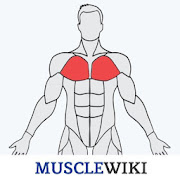 MuscleWiki Fitness 1.2.4 Icon