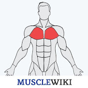 MuscleWiki Fitness