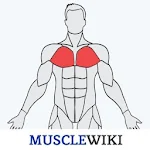 MuscleWiki Fitness Apk