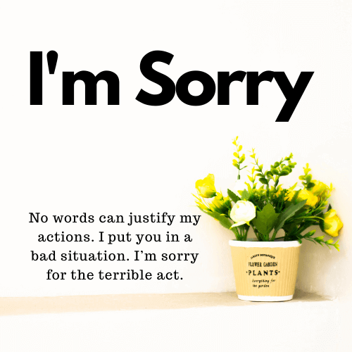 Im Sorry Messages Screen 3