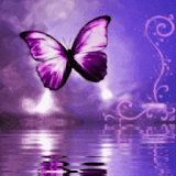Purple Butterfly Reflected In icon
