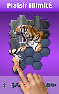 Aperçu de l'application