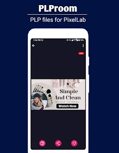 PLProom: plp file for PixelLab