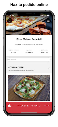 Pizza Metro Company Screen 2