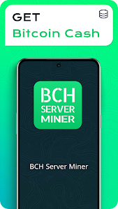 BCH Server Miner Unknown