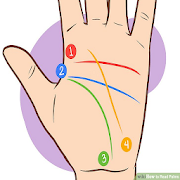 How to read a palm