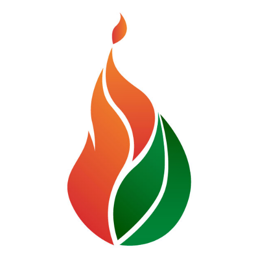 IGNIS Guanajuato logo