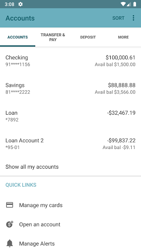 Skyline National Bank Screen 3