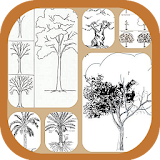Learn to Draw Trees icon