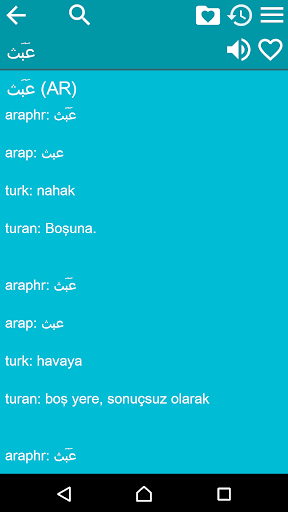 Arabic Turkish Dictionary Screen 3