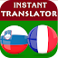 Slovenian French Translator