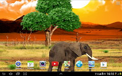 screenshot of Safari Live Wallpaper