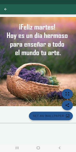 Saludos Días de la Semana Screen 2