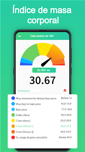 Vista previa de la aplicación