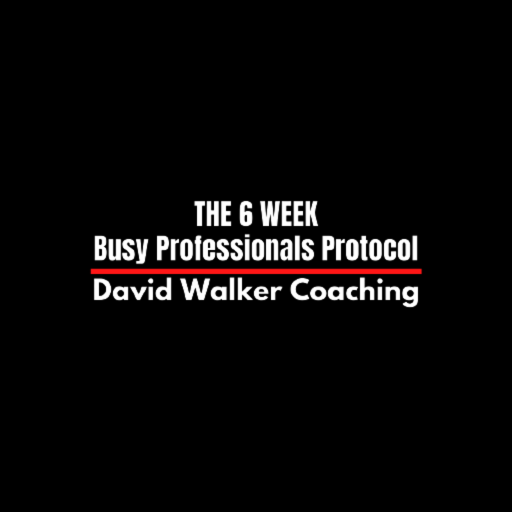 Busy Professionals Protocol logo