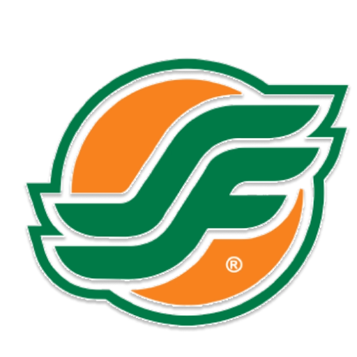Super FLU logo