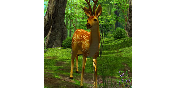3D Deer-Nature Live Wallpaper – Apps on