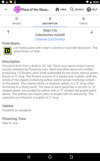Screenshot of Flora of the Wasatch