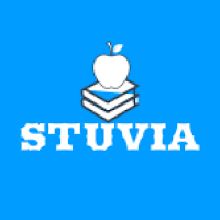 Stuvia- Homework Helper