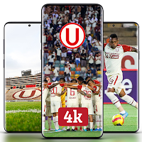 Universitario Wallpaper 4K