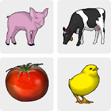 Baby Farm - Memory Game icon