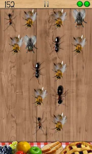 Alboroto de hormiga:Ant Smash